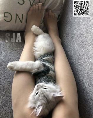 狮口惊魂1国语在线观看_1080P在线观看电视