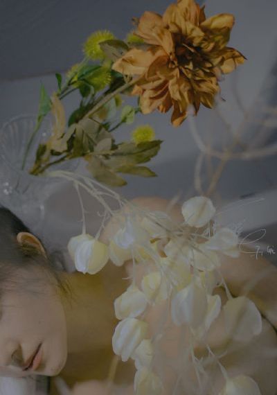 《神印王座》全集免费观看_高清电影免费在线